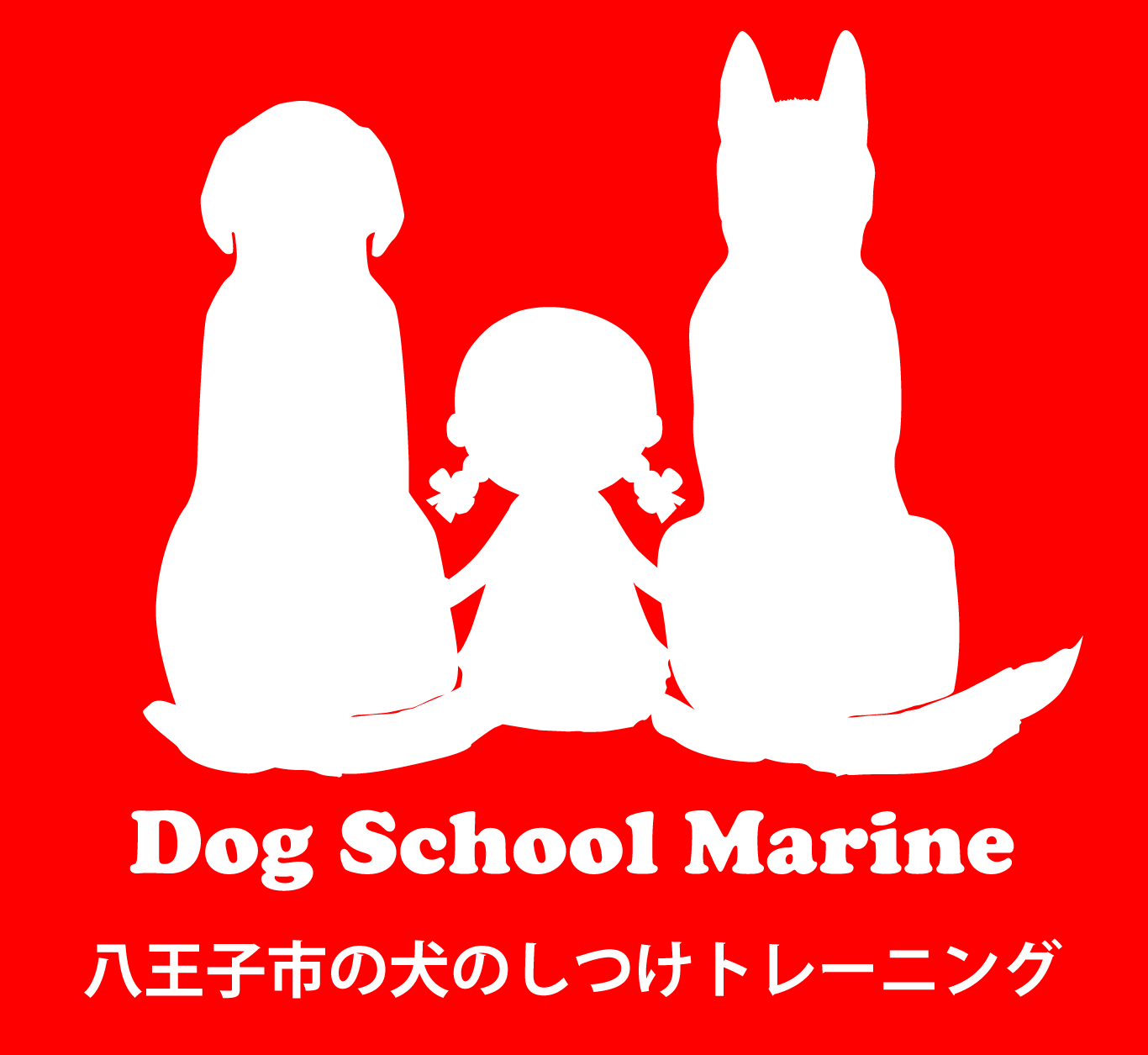 八王子市の犬のしつけ訓練ドッグスクールマリン